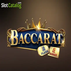 dk game লাইভ ক্যাসিনো ব্যাকারেট C08
